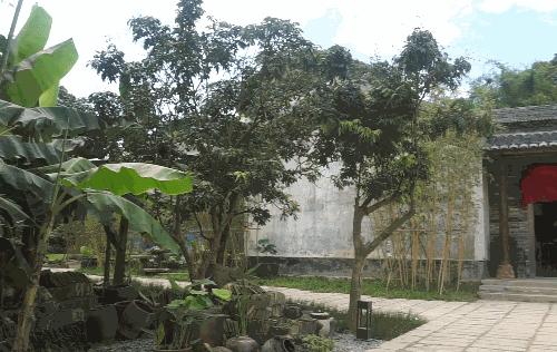 雨雨雨雨雨雨雨雨雨雨~二月泡汤了！