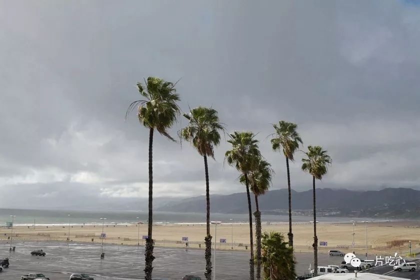 两天两夜飞到世界尽头找自己永恒的情人