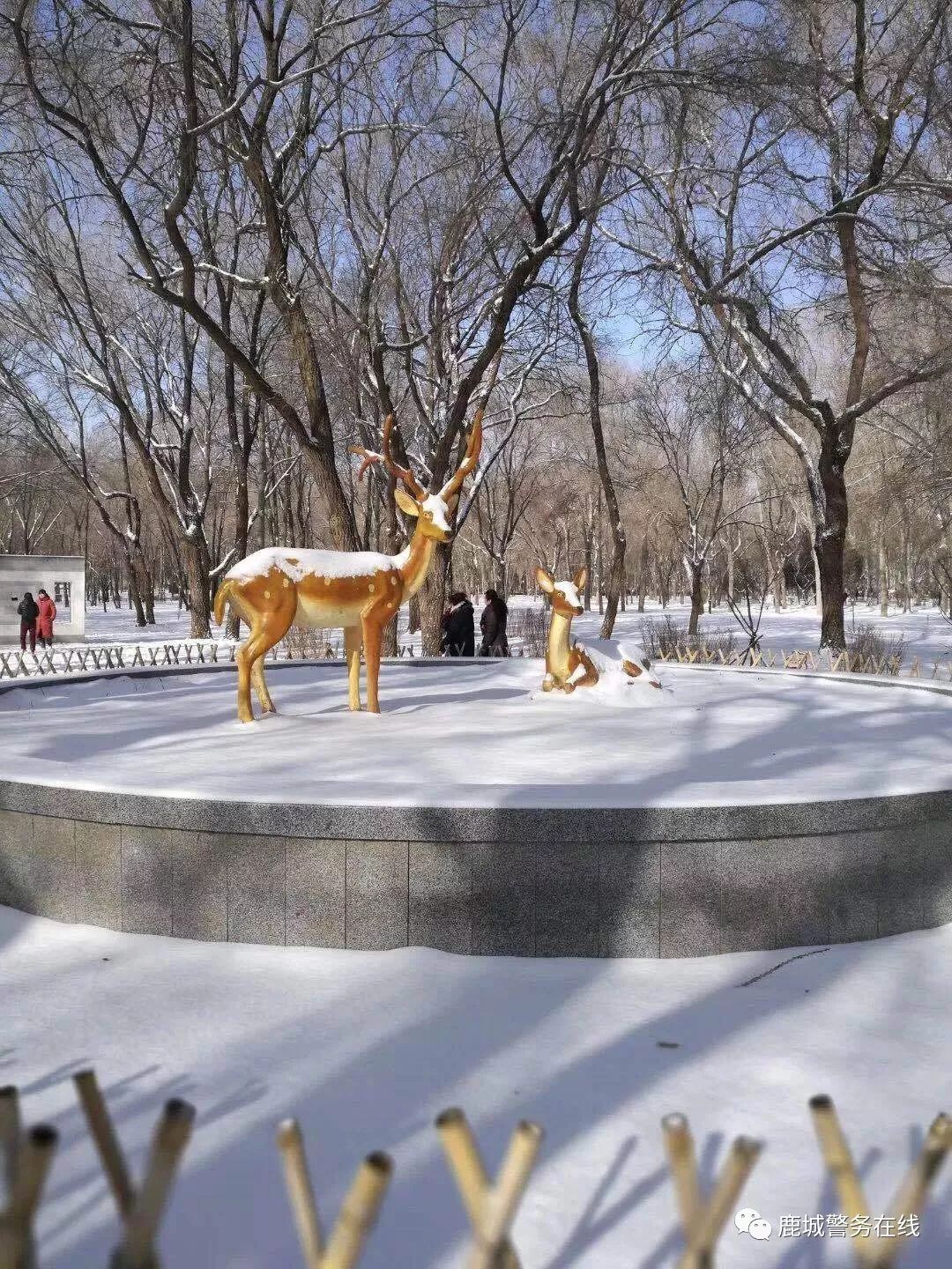 西方的节日每天都是情人节,西方的情人节