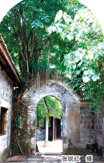 柳江古镇曾家园的历史,柳江古镇曾家园俯瞰图