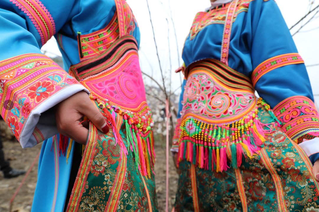 发耳镇樱桃花航拍视频出炉！敢不敢来行一场飞花令？开始！