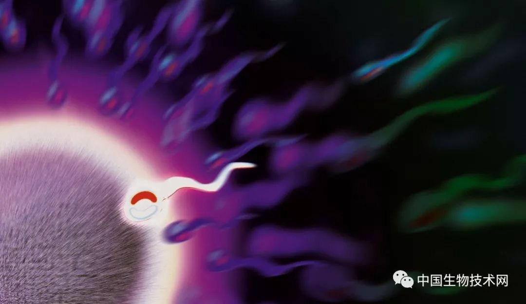 妇科医生优胜劣汰,女人优胜劣汰