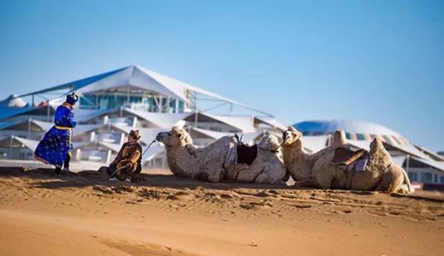 刷新你的世界观！国内最受欢迎的顶级野奢酒店，美到极点奢华到极致！享受质感生活，选这儿准没错！