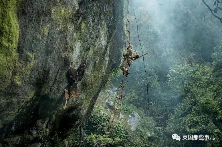 世界索尼摄影大赛作品背后的故事 (2018年索尼摄影大赛获奖作品中国)