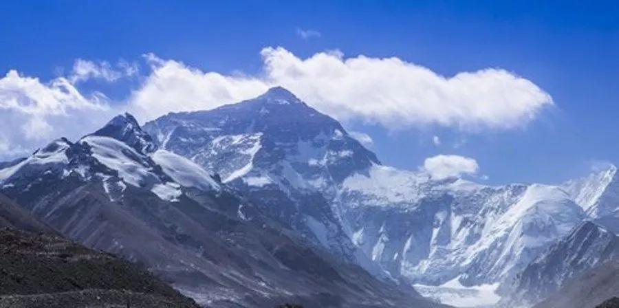 浼戦棽椹跨珯,浼戦棽椹跨珯2015