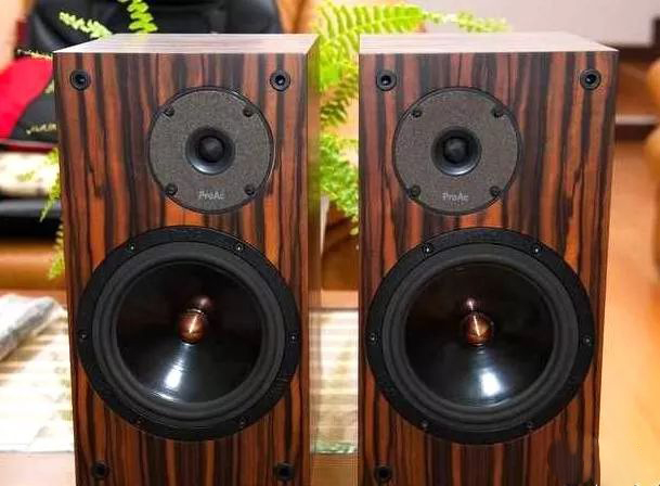 入门级音响器材推荐,什么音响比较好唱歌专用