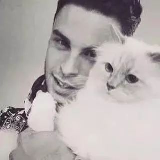 老佛爷的所有家产最后留给了猫 (老佛爷的猫死后谁来继承他的遗产)