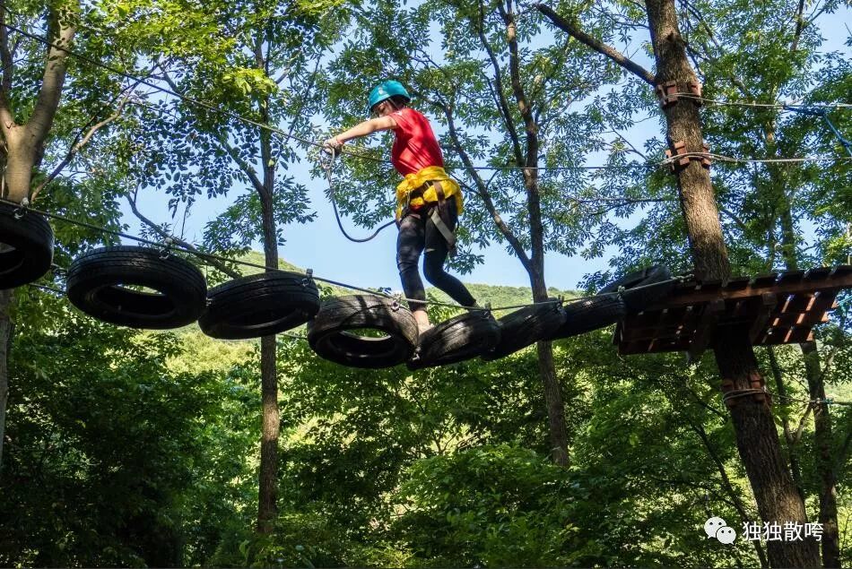 李旭斌最新视频,李旭斌个人资料