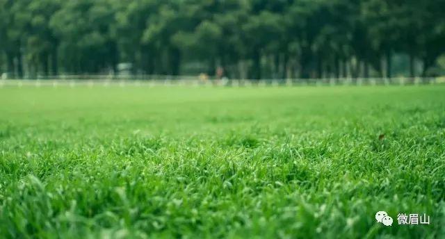 眉山今年有哪些项目能开工,眉山重大项目最新消息