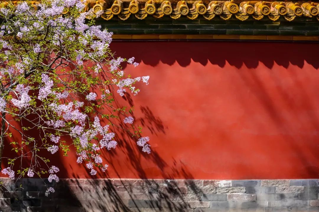 夜话丨听，这是春天的声音