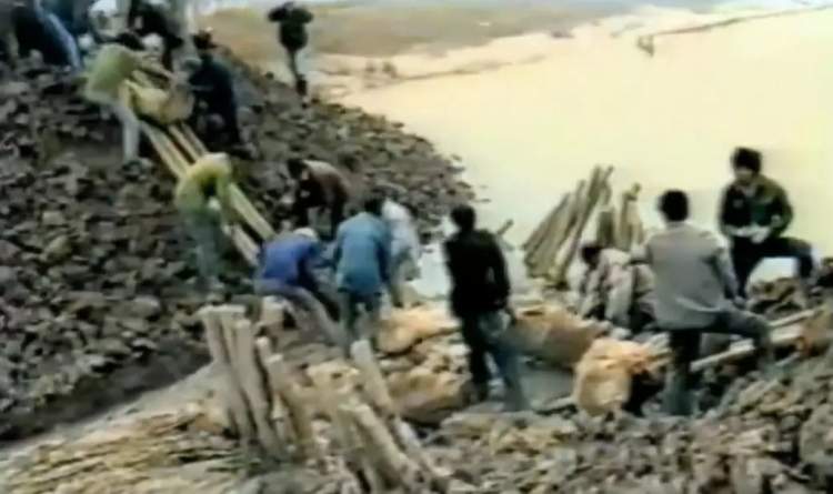 没和崇明岛上的这块“大石头”合过影，别说你到过崇明~