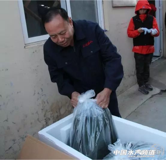 养南美白对虾培训基地,南美白对虾养殖培训基地