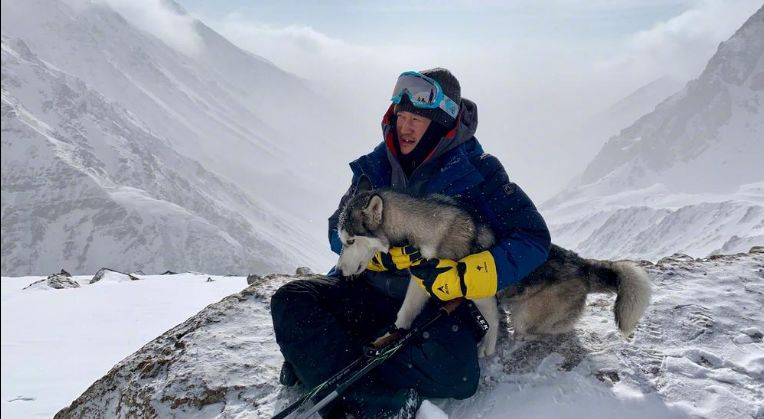 未来两年78部“种子选手”了解一下
