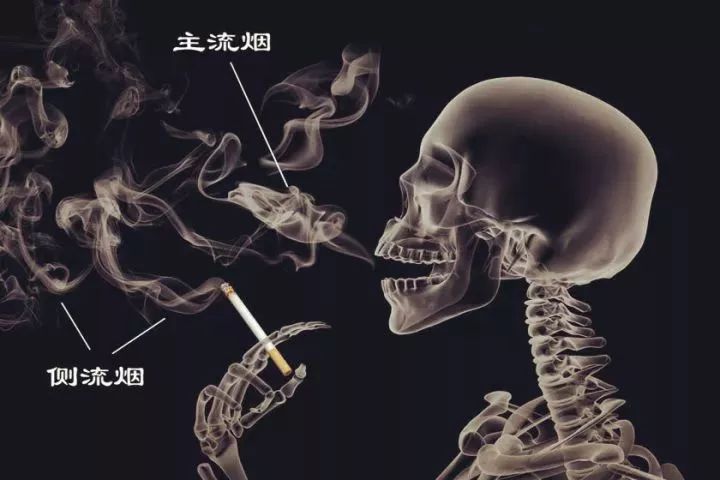 一人吸烟毁三代！抽烟的危害，比你想象的更大
