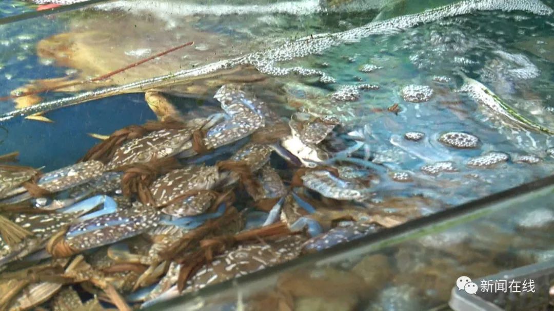 南宁白沙海鲜市场缺斤少两,南宁海鲜市场缺斤短两被挂牌