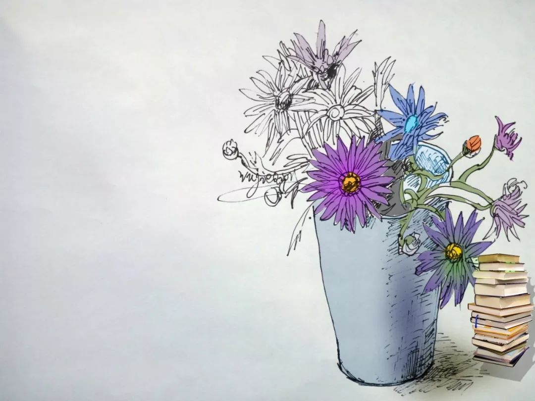 教育部考试中心高考答案,教育部考试中心命题分析