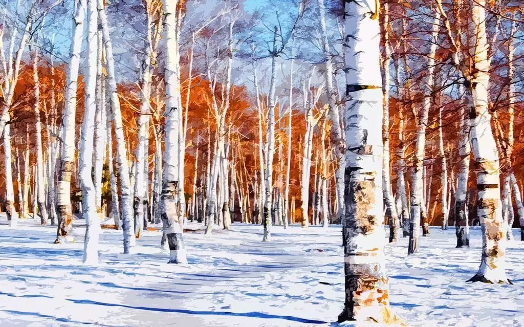 让肌肤重获新生,活肤水排行榜10强抗衰老