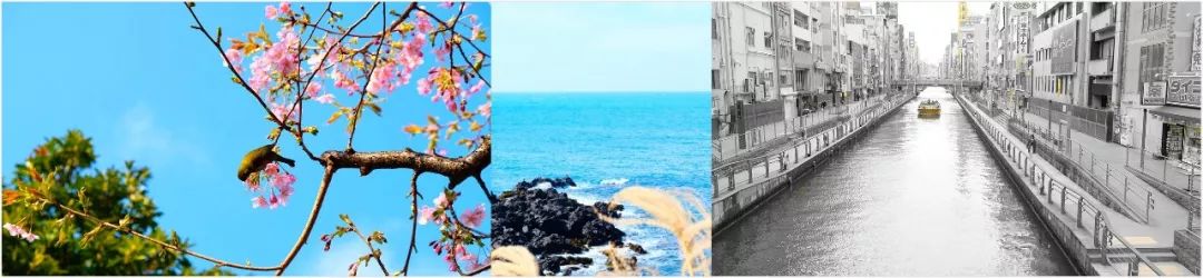 和田柾国金有谦是好友，97年的*明徐**浩参加《青春有你》终于被发现！