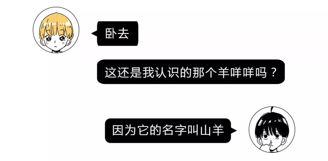 作为内蒙人,山羊这么牛的生物,竟然不了解?