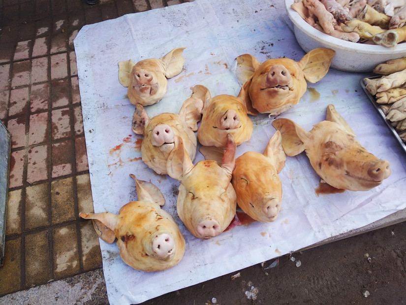 久别家乡的味道,回味冬季的味道