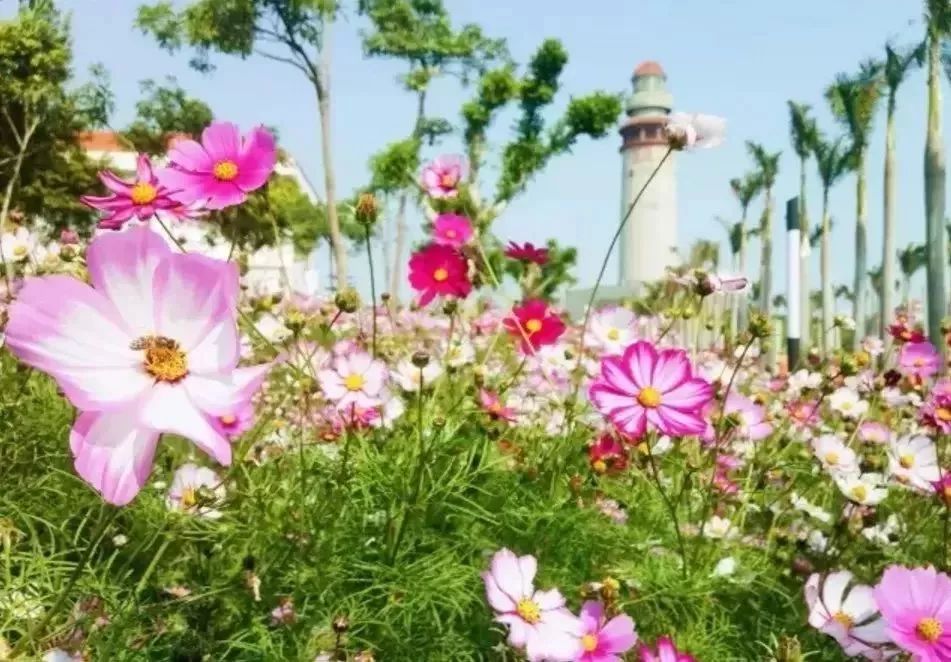 @所有人,2号线又有新进展!这条霸屏的网红线路,居然有这么多好玩的~