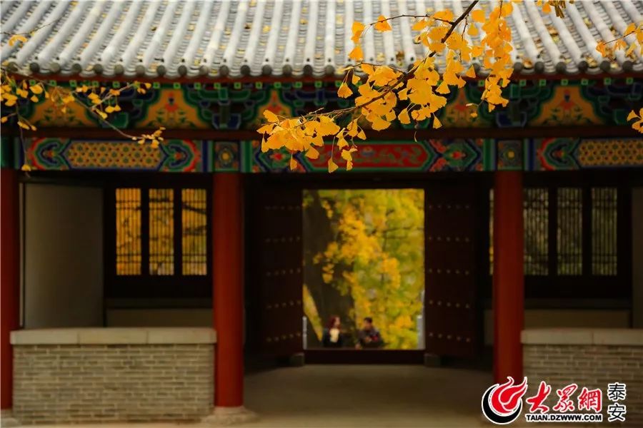 泰山山东景区门票降价,泰山景区门票优惠政策