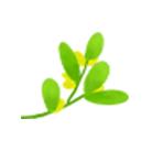 【基层动态】幸福村的希望