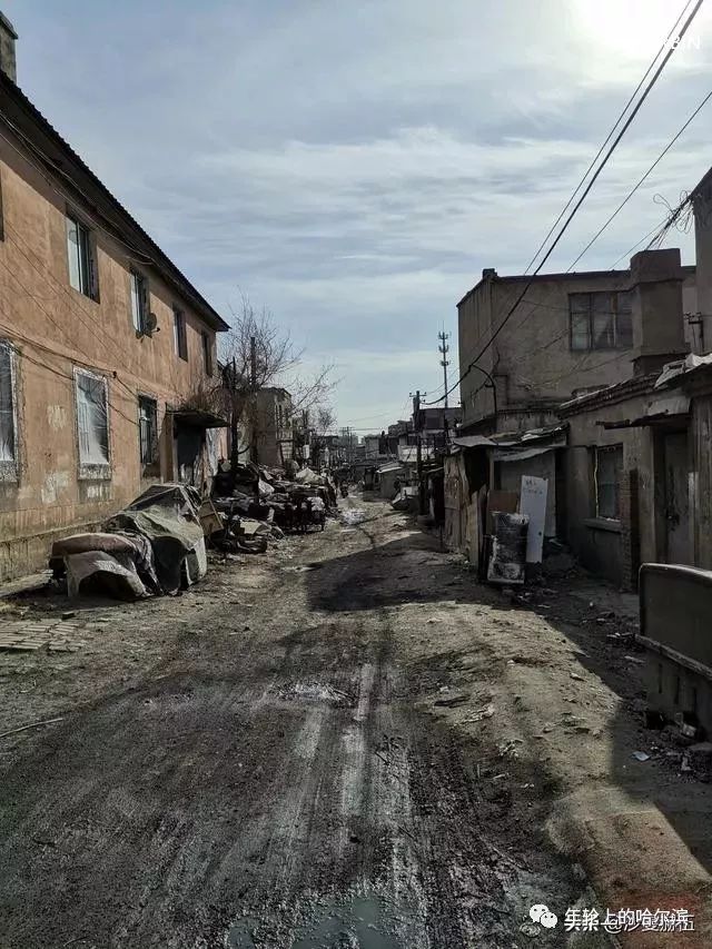 哈尔滨杨马架子前世今生,尘封的往事完整视频