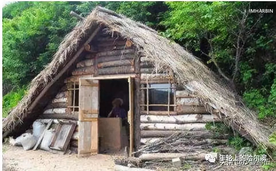 哈尔滨杨马架子前世今生,尘封的往事完整视频