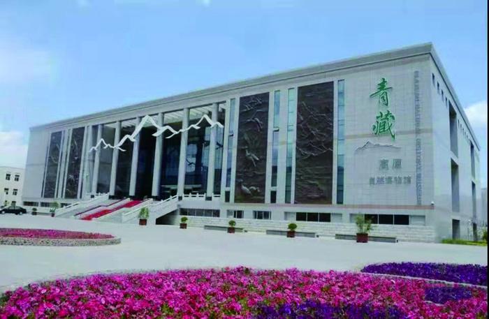 博物馆奇妙之旅250字,博物馆奇妙之旅主题活动