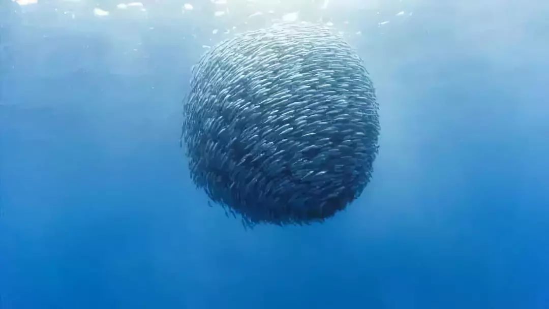 宿务飞大陆,宿务6天旅行