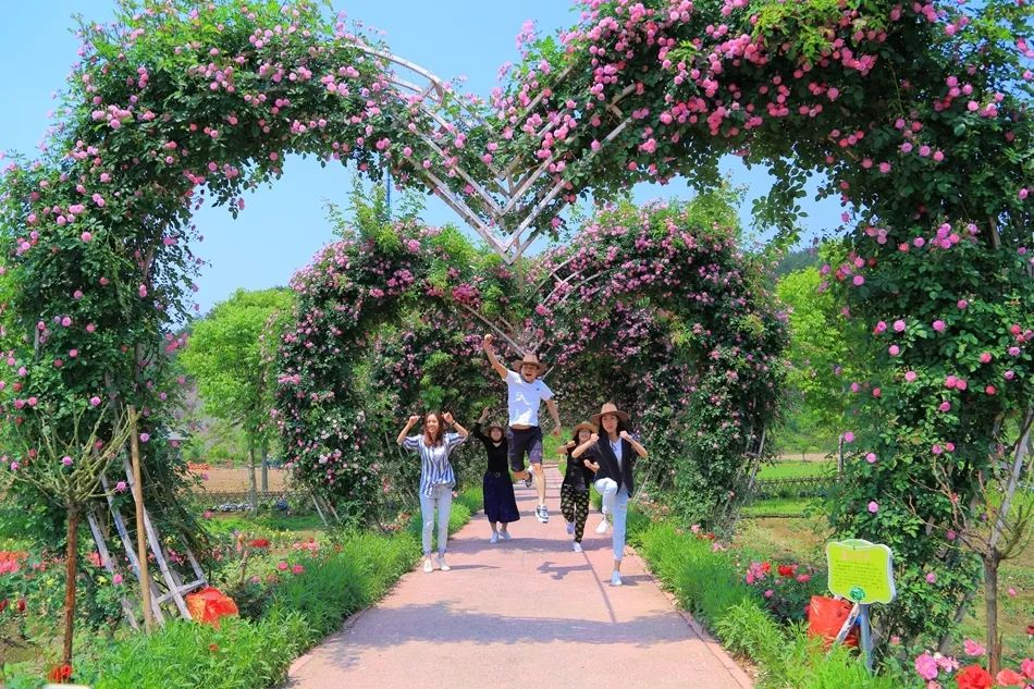 开心谷、马畈乐园、花间乐园……义乌“网红景点”因为这个问题无一幸免