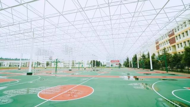 运河中学为啥那么厉害,运河中学事件始末