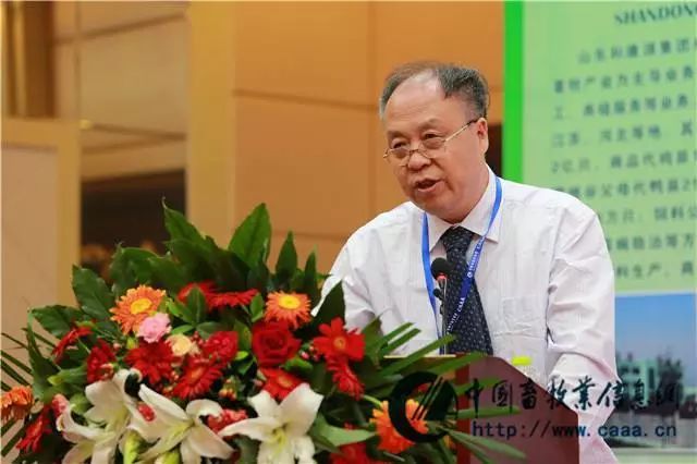 最新水禽养殖技术,水禽养旱新模式