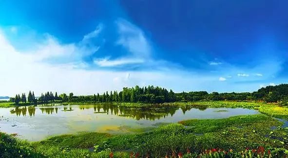 武汉六大湿地公园,百湖之市武汉