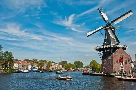 走进荷兰“花花世界”，五大赏花攻略总有一款适合您！骑行/直升机，逛花园花田，跟着花农的脚步走过这个春天