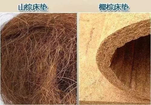 99%的人都不知道的秘密,99%的不知道的秘密