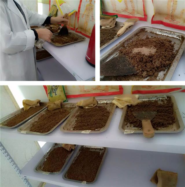 骨病保养小知识,如何预防骨病的十个动作