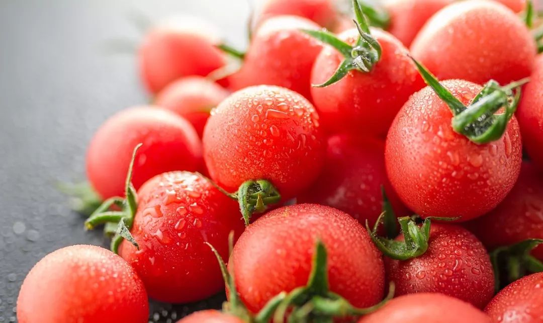 「活力开发区频道」2019年3月3日星期日