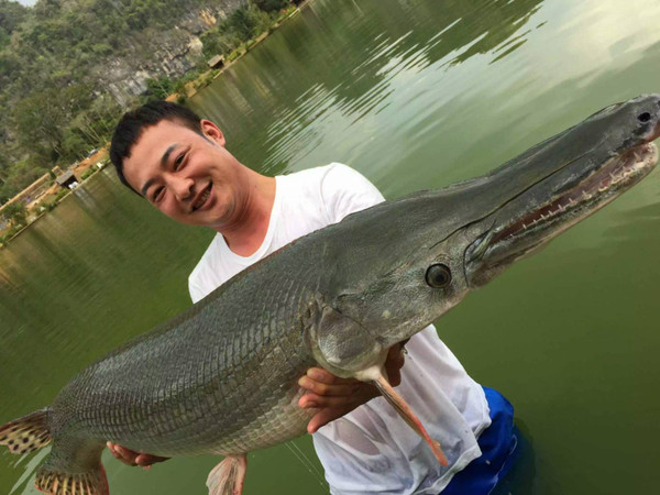 泰国艾克索公园巨物钓场,泰国巨物池钓鱼费用