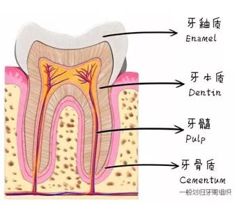 赵丽颖对霍建华是什么感觉,赵丽颖看霍建华的眼神