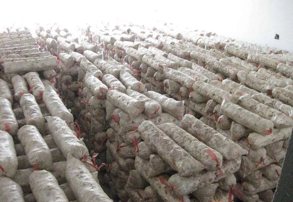 从农村出来的科学家,从乡村走出来的科学家