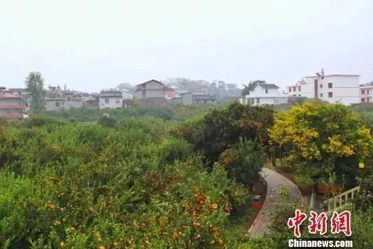 3月有哪些景点免票,三月八日哪些旅游景点免门票