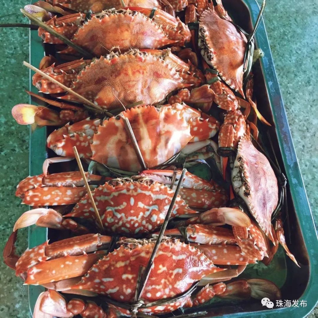 定了！石家庄将首开至珠海、嘉兴方向高铁，一路都是好风景