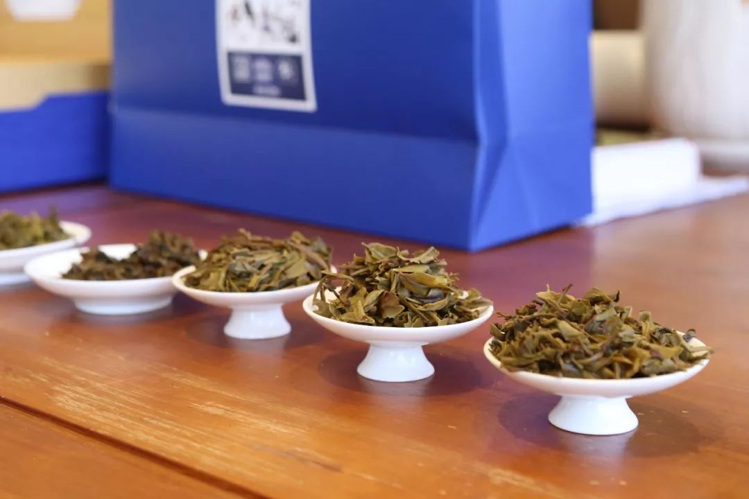 大厂茶对比,大厂茶到底好不好