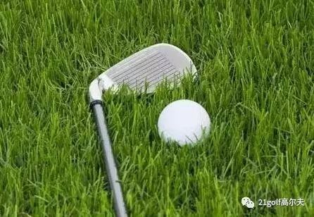 长草区教学,长草区攻略大全