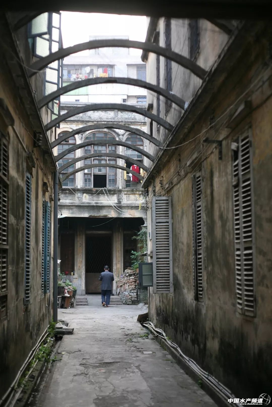 湛江最实惠的海鲜街,湛江草潭镇海鲜攻略