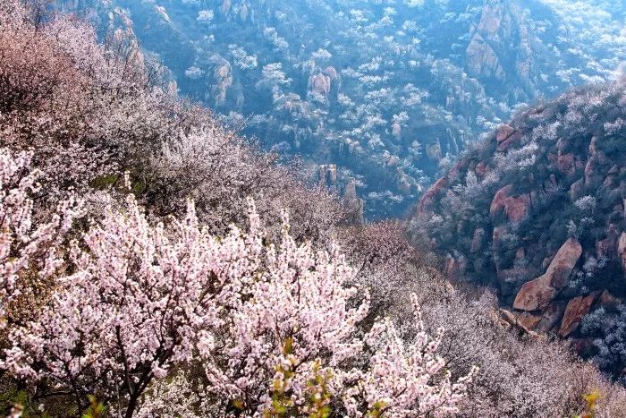 昌平踏青旅游攻略,昌平踏青好玩的地方