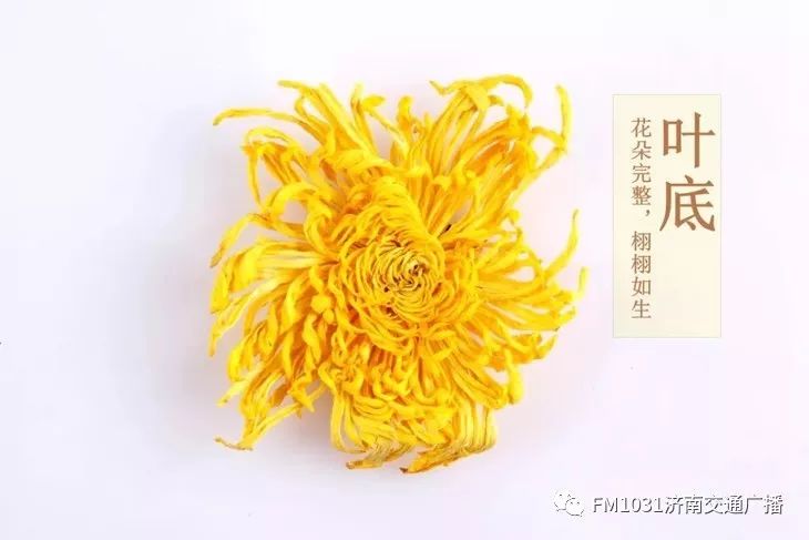 春季养生清肝食物大全图片,春天清肝火明目的食物