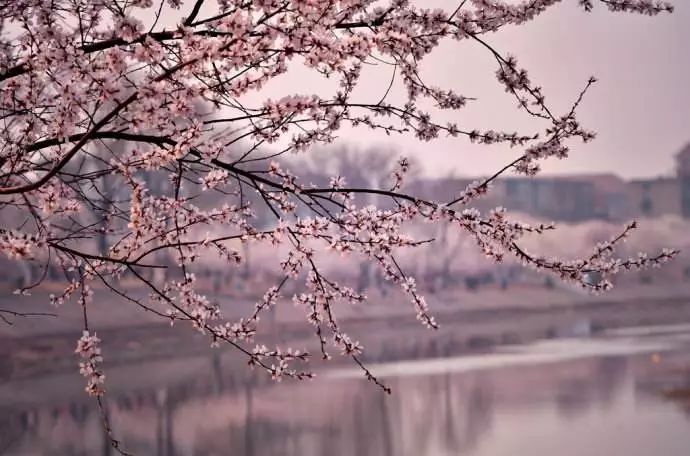 三月踏青季旅行指南,春日踏青游玩攻略